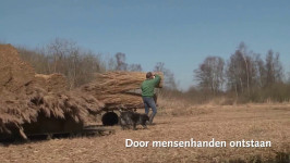 Afbeelding slide #1